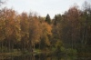 Имя файла=IMG_5138.jpg
Размер файла=175КБ
Размеры=640x427
Дата=Окт 08, 2007 IMG_5138.jpg